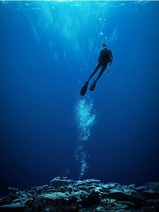 扎魯特旗書法有限責(zé)任公司