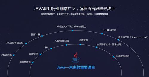 鄭州JavaEE軟件開(kāi)發(fā)培訓(xùn)市場(chǎng)探析 如何選擇優(yōu)質(zhì)機(jī)構(gòu)及費(fèi)用參考