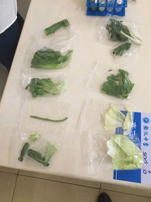 樂從中學食堂食用農(nóng)產(chǎn)品快檢信息公布，保障師生飲食安全