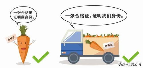 武漢開(kāi)出首批食用農(nóng)產(chǎn)品電子合格證 科技賦能守護(hù)“舌尖上的安全”
